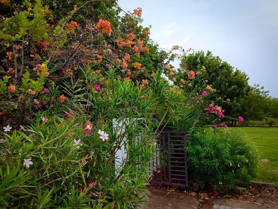 Mamta'S Home- Kensville Nānodra 外观 照片