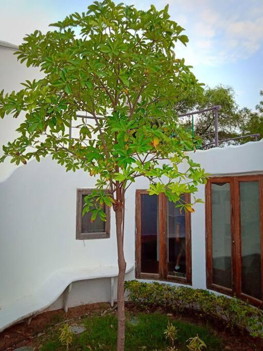 Mamta'S Home- Kensville Nānodra 外观 照片