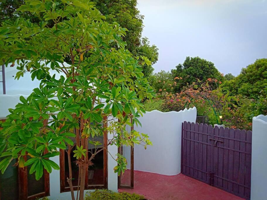 Mamta'S Home- Kensville Nānodra 外观 照片